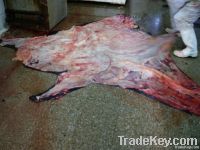 Wet Salted Cow Hides