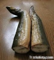 Farmed Eel