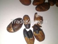 https://www.tradekey.com/product_view/Cacao-Bean-7257381.html