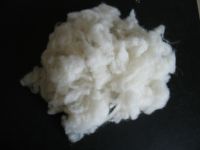 Sheep Wool