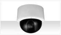 Dome IP Camera