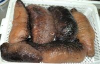 Frozen Sea Cucumber From Chile