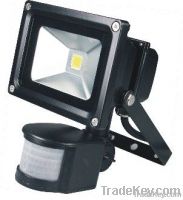 LED flood lamp 10w