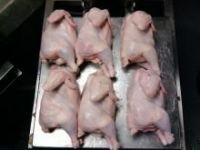 Grade A frozen whole chicken for sale