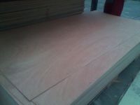 Packing plywood &amp; Furniture Plywood &amp;Construction Plywood
