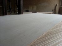 Commercial plywood & Poplar plywood