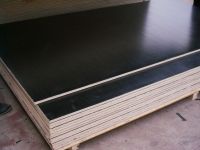 Dynea film faced plywood & formwork plywood