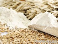 Wheat | Wheat exporter | Wheat distributor | Wheat wholesaler | Wheat supplier | Wheat importer |  Wheat |Wheat for sale | long grain Wheat exporter | buy Wheat online | Wheat for sale |  Wheat exporter | Wheat wholesaler | long grain Wheat buyer |  Wheat