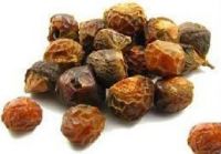 Original Indian Bio Soap Nuts