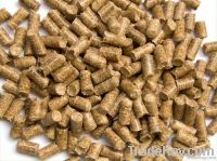 Premuim Wood pellets