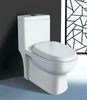 Ceramic Bathroom Siphon One Piece Toilet ZZ-O6609