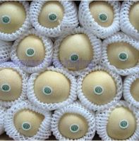 EPE foam fruit sleeves for apples, mangos, melons, etc.