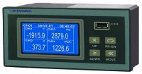Monochrome Paperless Recorder-PRC5000
