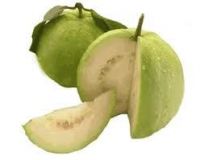 Thai Guava 