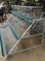 A type 3 tier 4nest 96heads layer egg chicken cage for sale in Philipp