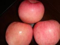 fresh fuji apples from south Africa