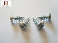 Flat Head Self Tapping Screw