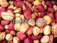 Kola Nuts