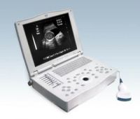 Portable Ultrasound Scanner (BW8H)