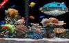 2013 hot sale Cidly New UFO LED coral reef aquarium light, quiet, anti-corrosion, anti-rust, module assemble