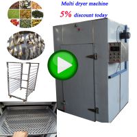 Electric hot air fruit dehydrator / Vegetable dryer machine / Fruit drying machine