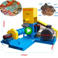 Small Animal Pet Catfish Shrimp Food Making Extruder Floating Fish Feed Pellet Machine