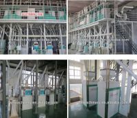 100T/D Maize Milling Plant