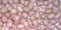 Groundnut Kernels/ peanuts /