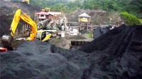 steam coal, nickel ore