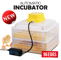 96 Eggs EW-96B Multifuntional Full Automatic Small Mini Poultry Hatching Machine for Sale