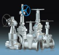 FBV Gate Valve