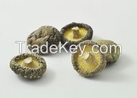 Dried Shiitake Mushrooms Dry