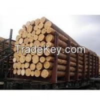 Timber, sawlog, round wood whites (ash, oak,hornbeam, pine, alder, beech, birch)