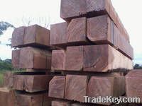 bubinga logs and sawn longs