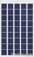 QS.T 165 W 30% Transparency Polycrystalline Frameless Module