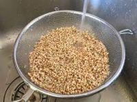 Buckwheat grain (instant)