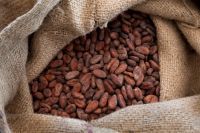 Cocoa beans for sale, Cocoa seeds for sale, Raw cocoa
