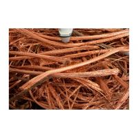 Super High quality Copper Wire Scrap 99.9%/Millberry Copper Scrap 99.99%