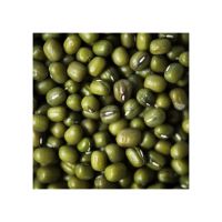 Wholesale Supplier Best Quality Green Mung Beans For Sale In Cheap Price