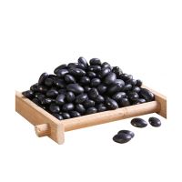 High Quality Healthy Care Black Kidney Beans For Sale Best Quality Long Shape Kidney Bean