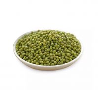 Wholesale High Quality Green Vigna Mung Beans green gram vigna green beans Mung Beans green moong
