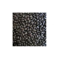 Black Kidney Beans For Sale Top Grade Wholesale Red kidney Beans For Sale In Cheap Price
