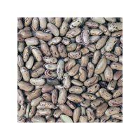 Highest quality Sugar Beans Natural Dry Light Beans Good Price Product Bulk White Speckled Kidney Bean for food