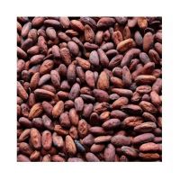 Sun Dried Raw Cocoa Beans | Cocoa Beans Suppliers | Manufacturers | Wholesalers