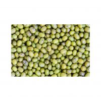 Green Mung Bean Hot Selling Products Green Oem Mung Bean Protein