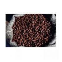 Best Quality Supplier Cocoa Bean For Sale In Cheap Price