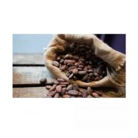 Cheap Wholesale Top Quality Cocoa Beans In Bulk