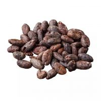 Cocoa Beans Ariba Cacao Beans Dried Raw Cocoa Beans