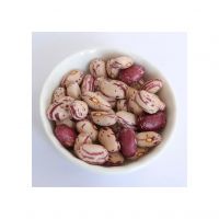 Beans Speckled Kidney Long / Round Type Best Quality Red Color Sugar Beans Light Speckled Kidney Beans
