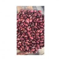 Export White And Red Kidney Beans Red Speckled High Quality Red Kidney Beans Cheap Price